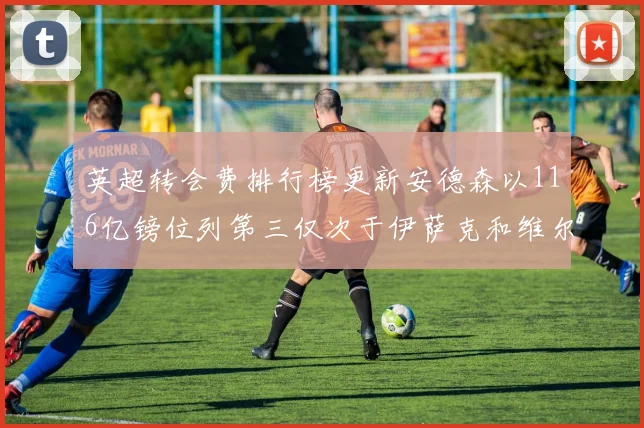 英超转会费排行榜更新安德森以116亿镑位列第三仅次于伊萨克和维尔茨
